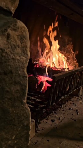 Building the top down fire in a fireplace #fyp #fireplace #woodstove .. | Shakira Mcgee