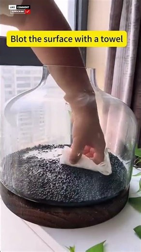 🌿 Transform Your Aquarium with Premium Aquatic Plant Seeds | Planted Tank Magic