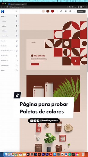 Prueba Paletas de Colores en Situaciones Reales