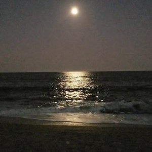 75K views · 10K reactions | Full Moon Rising LIVE Friday 5:47 pm est FRIDAY FEBRUARY 26TH | First Light InSite | Facebook