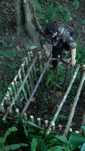 Unexpected discovery! Wild boars in a new area – urgent trap making begins, survival alone #survival #hunting #fishing #food | I Am Chef