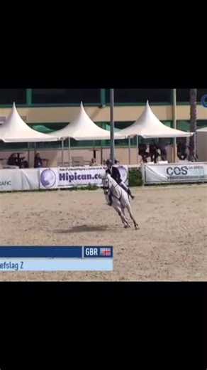 whoops x #DayMeNightMe #InstaxChallenge #horses #showjumping #spain