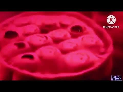 The cursed THX amazing horror dvd rip.