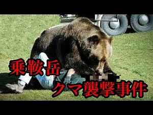 【閲覧注意】バスターミナルにクマが侵入⁉乗鞍岳クマ襲撃事故