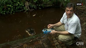 Man fights to keep 13-foot, pizza-eating pet gator