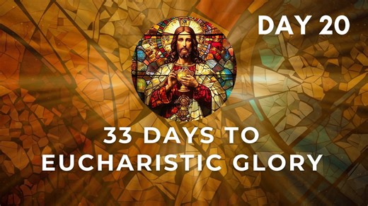 Day 20 - 33 Days To Eucharistic Glory with Fr. Jesse Maingot - O.P. | Trinity TV