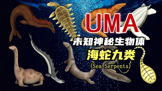 【UMA系列】第七十二期：Heuvelmans海蛇分类系统