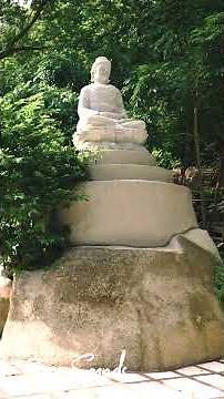 Zen Sounds | Nhạc Thiền Tịnh Tâm #nhacthiền #nhacthienngungon #nhạcthiềntịnhtâm