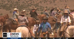Cattle Drive Heading to Reno Rodeo
