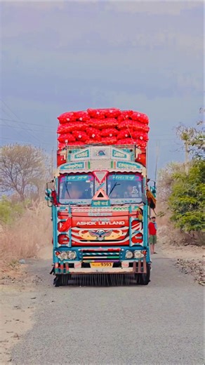 😱 इतका भारी ट्रक तुम्ही कधीच पाहिला नसेल! Indian Truck Modification Level: MAX