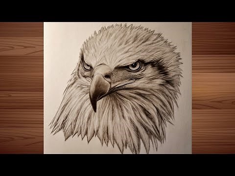 Simple technique How to draw a Realistic EAGLE face : Easy guide for beginners