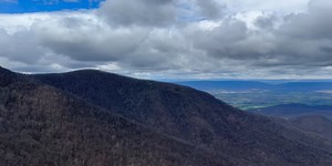 Shenandoah National Park conducts aerial spray to control spongy moth population