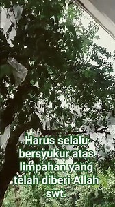 #ustadzadihidayat #motivasidiri #ustadzadihidayat #rahmatallah