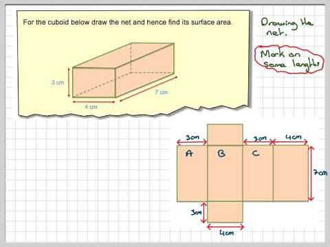 The net and surface area of a cuboid