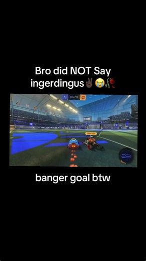 The Impact of 'Ingerdingus' in Viral Culture