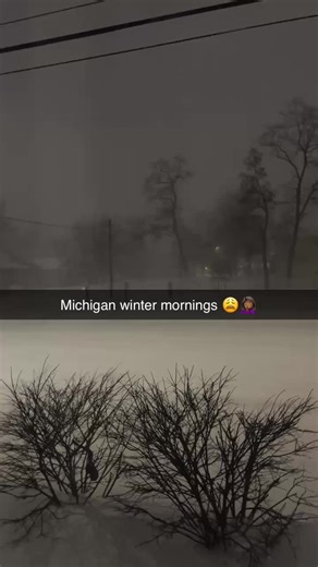 Michigan Winters: Embrace the Chill and Snowstorms