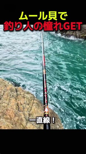 ムール貝でレア魚を狙う