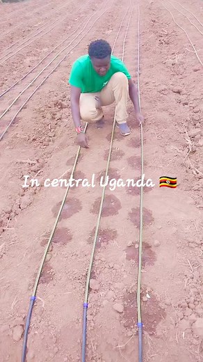 30K views · 203 reactions | Successfully installed drip irrigation in Central Uganda ! Now, off to Kenya  for the next adventure! | Farm with Tonny greenhouse and irrigation solutions | Facebook