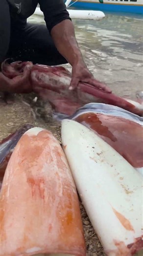 I Caught Fresh Squid and This Expert Cleaned it PERFECTLY!