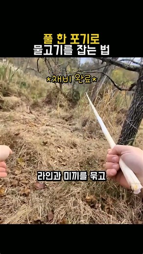 풀 한 포기로 물고기를 잡는 법 #야생낚시 #생존기술
