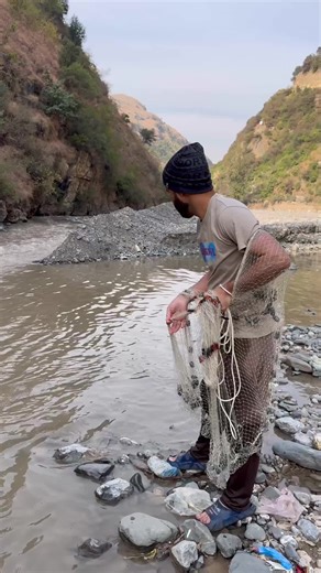 Murky water level is reducing day by day, that's why fish Didn't like to stay #netfishing #FishingUSA #fishingadventures #fishingvibes #wildfishing #fishingfail
