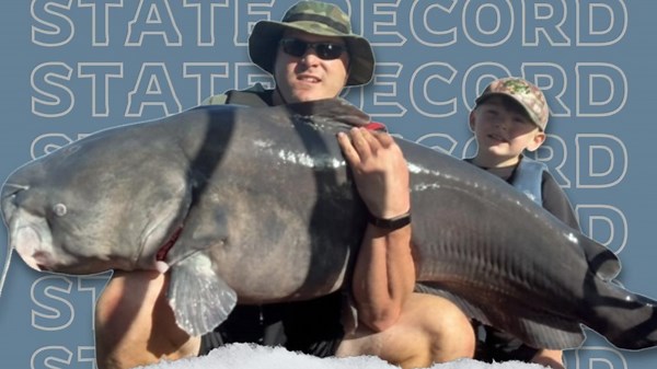 What a catch: Man reels in 105-pound blue catfish, breaks Iowa state record