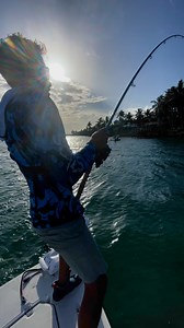 8.4K views · 113 reactions | Goliath grouper eats GIANT snook and spits it out #fishing | Abenz Fishing | Facebook