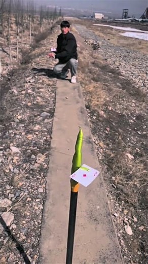 Collection of flying cards skills, the power of a single playing card # growth plan