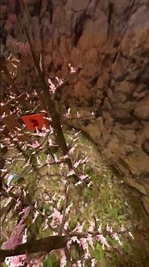 juking clips | #gorillatag #gorillatagquest #vr #jmancurly​