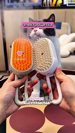ТОП-5 находок для пушистых с Али#вб #вайлдбериз #wildberries #aliexpress #ozon #питомцы #котик