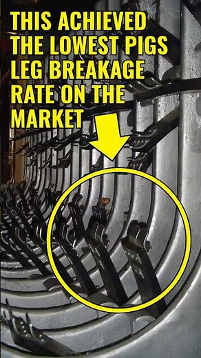 🐖 PIG DEHAIRING MACHINE TYPE "UBAR" (Part 9) | Exploring the World of PIG Processing Equipment