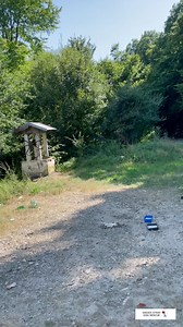 910K views · 10K reactions | Today we found treasure in the forest   Yup, the most beautiful family that you’ve ever seen  (A mummy and her 4 stunning babies) and... A CAT! (Video on next post) People here... “How to get rid of a problem?”樂 Let’s dump them in the forest, so what if they die.. the problem is solved 郎 We actually don’t have room for them but sure as hell wasn’t going to leave them there! | Sadies Dog Rescue | Facebook