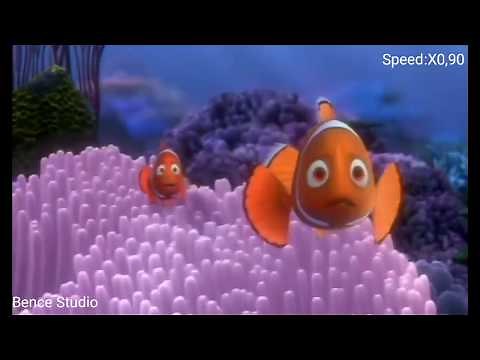 Finding Nemo-Barracuda Speed