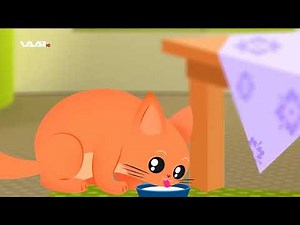 پاپای کوردی papae kurde کتکو پشیک