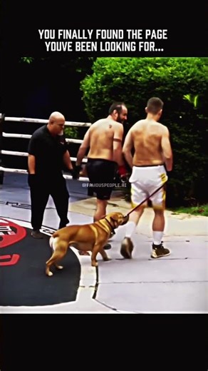 When AI Predicts the Knockout… And It’s 100% Accurate 😭