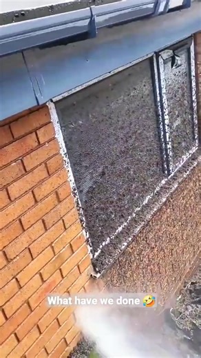 #pressurewashing #soclean #cleaning #asmrcleaning #cleanwithme | Amazingtips