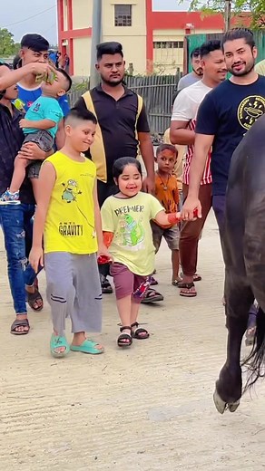 Children and Adults Walking with a Buffalo