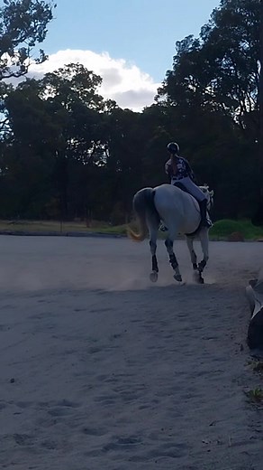 21 reactions · 4 comments | Amelia and Lady were lucky enough to have a lesson yesterday with Emily Ruedavey while she was back in WA visiting family. Emily helped them with improving Lady's suppleness and getting her to use her body more for a more stable connection and their progress in the lesson was fantastic to see with some nice work starting to come through! 勺濾 | Kathi McDonald | Facebook