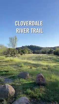3.4K views · 41 reactions | Cloverdale River Trail at Cloverdale River Park • 1.2 miles roundtrip • featuring April wildflowers  Cloverdale River Park is superb in springtime! The flat, paved River Trail is ADA-accessible and runs along the Russian River. A great spot for birding and wildlife viewing.  Dogs on leash OK. ➡️ For details visit parks.sonomacounty.ca.gov/visit/find-a-park/cloverdale-river-park | Sonoma County Regional Parks | Facebook
