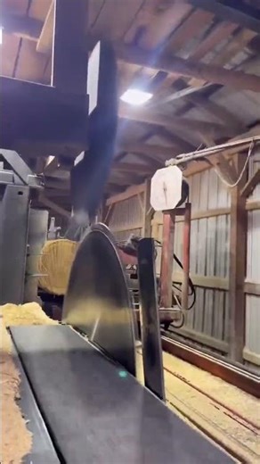 Precision milling turning rough timber into clean cuts in a powerful sawmill setup #woodworking
