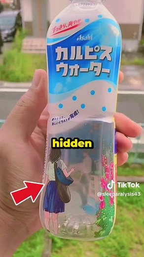 Japan travel culture tips for first-time visitors
