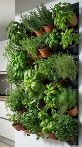 Plant Care Guide PDF | Easy Indoor Houseplant Care Tips | Digital Download for Plant Lovers | Watering, Light, Repotting & Feeding Guide - Etsy Canada