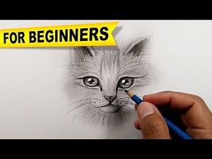 How to draw a cat realistic | Simple Drawings