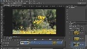 Video Editing with Photoshop | Adobe Education Exchange
