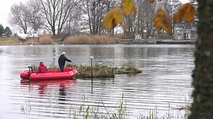 Schwimmende Pflanzeninseln: Biofilter für die Gewässerqualität