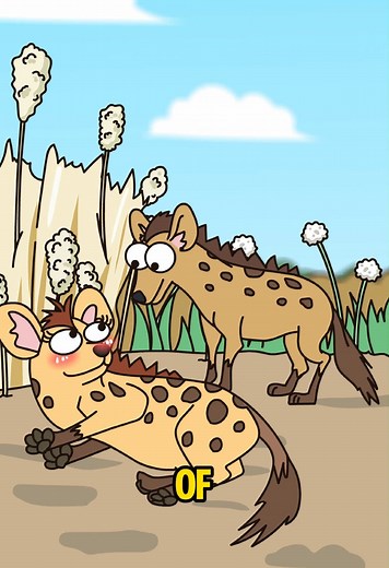 Do Female Hyenas Reject Males? Why Females Control Hyena Mating