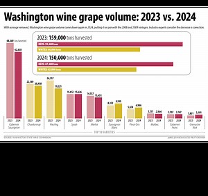 A smaller and healthier Washington wine industry — Video - Good Fruit Grower
