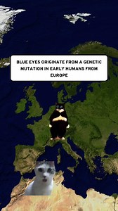 122K views · 2.5K reactions | Facts About Blue Eyes . . . #blueeyes #eyecare #facts #usa | Kitty Memes | Facebook