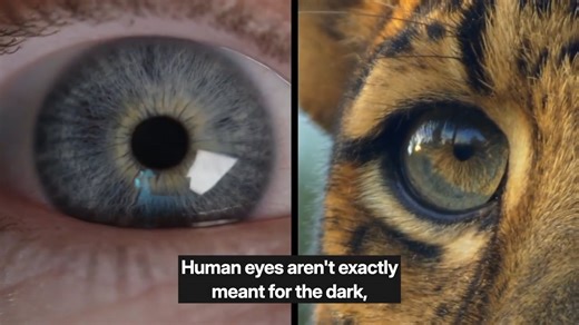 Darkforce_NightVision