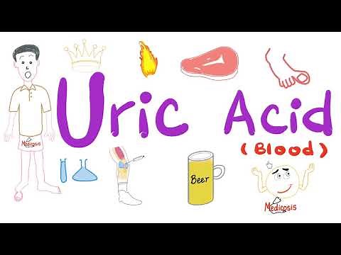 Uric Acid (Plasma) | Labs 🧪